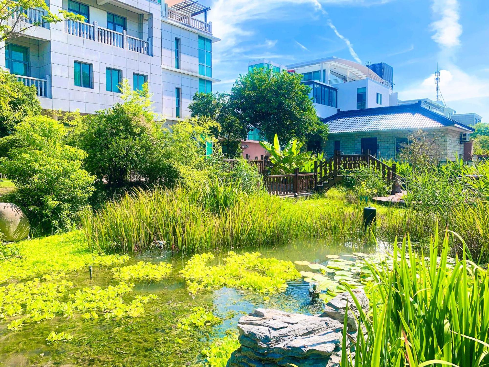 Shushe Hotel Шанхай Экстерьер фото